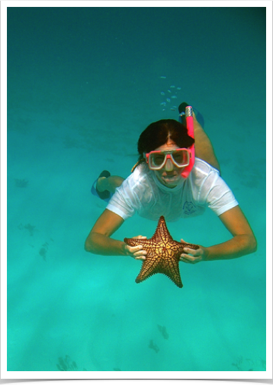 Dr. Alshuth exploring Mayreau Gardens reef - its sandy bottoms are inhabited by Cushion Sea Stars. Dr. Alshuth exploring Mayreau Gardens reef - its sandy bottoms are inhabited by Cushion Sea Stars.